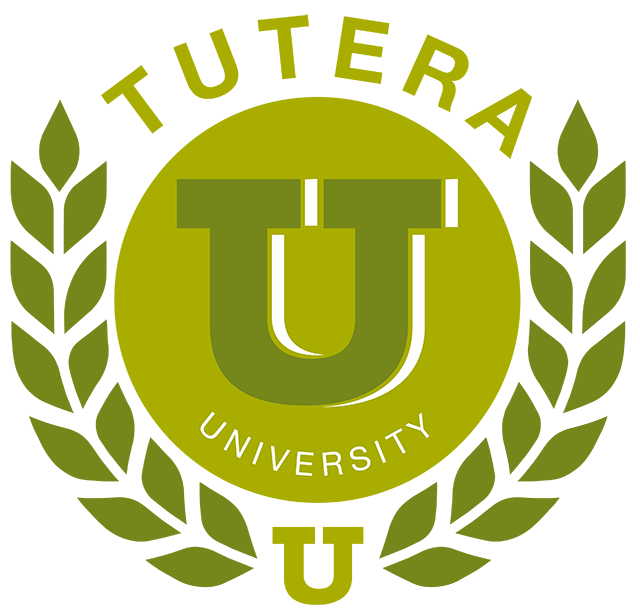 Green and yellow logo with the letter 