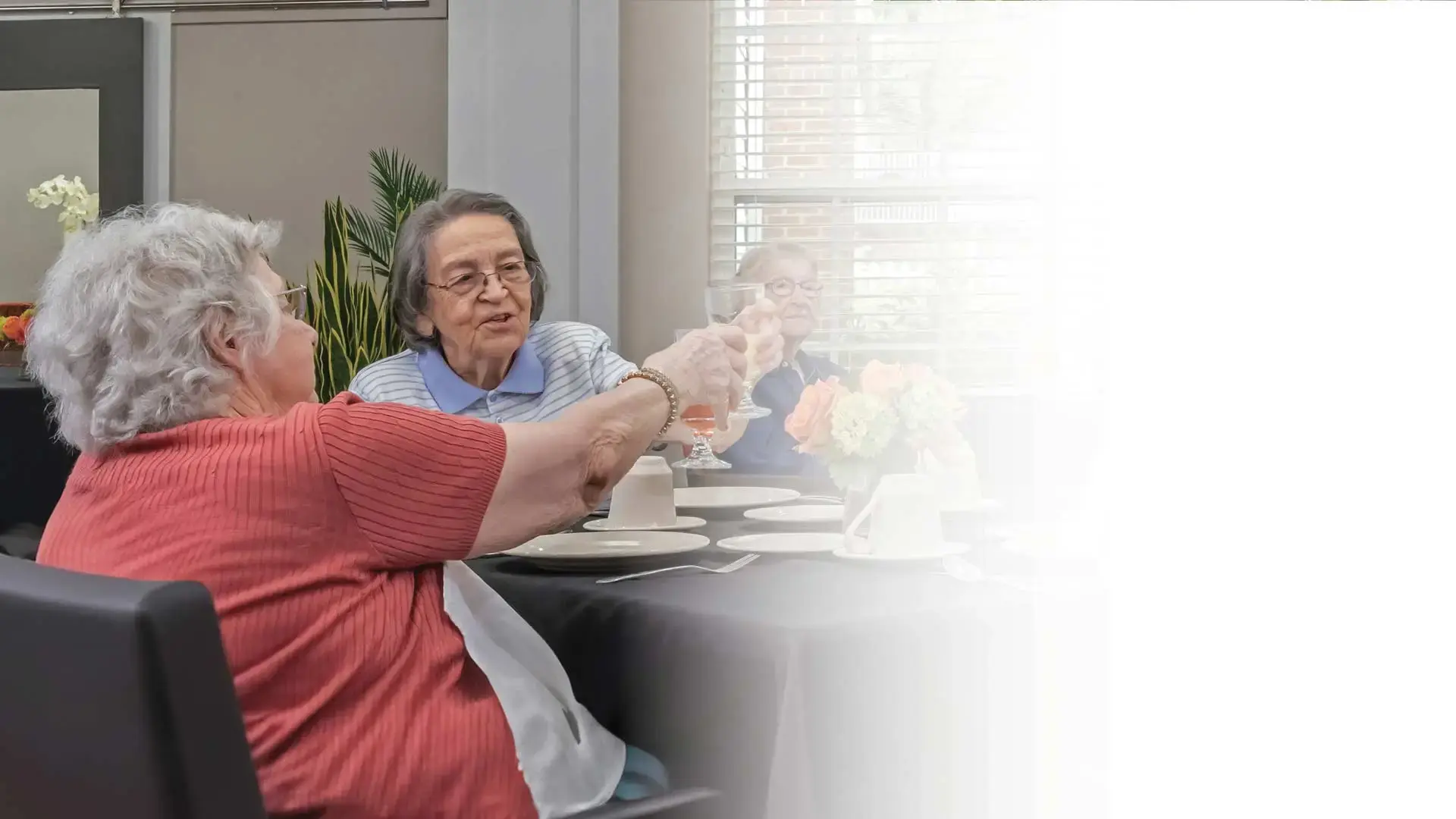 Two elderly women sitting at a dining table in a bright room, sharing a handshake across the table. They appear happy and engaged. The table has plates, cups, and a flower arrangement. A third person is partially visible in the background. The right side fades to white.