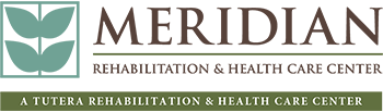 Logo of Meridian featuring stylized text in brown and green colors. Below the main text, it reads 